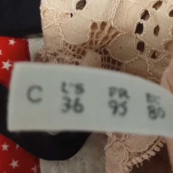 **RARE ** NWOT Fleur Du Mal Lace Underwire Bra in Blush and Black